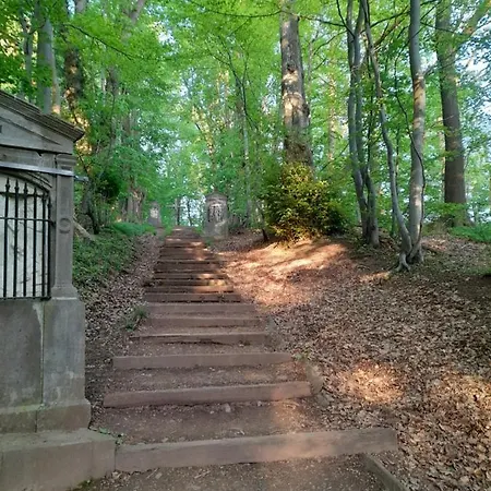 L'ecureuil - Terrasses De * Malmedy