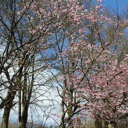 L'ecureuil - Terrasses De Malmedy