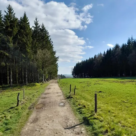 L'ecureuil - Terrasses De * Malmedy