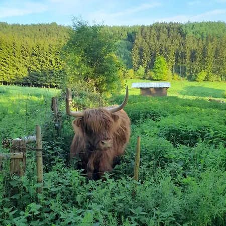 Casa de Férias L'ecureuil - Terrasses De Malmedy