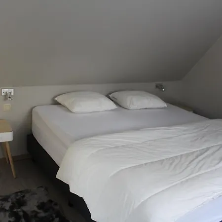 L'ecureuil - Terrasses De *