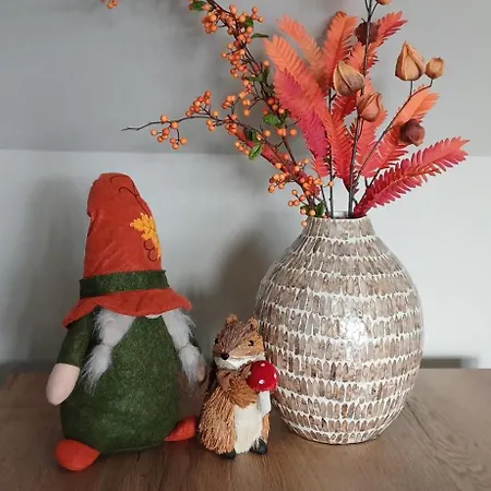 L'ecureuil - Terrasses De * Malmedy