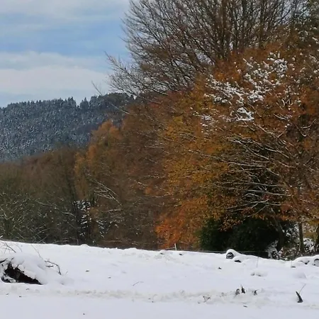 L'ecureuil - Terrasses De