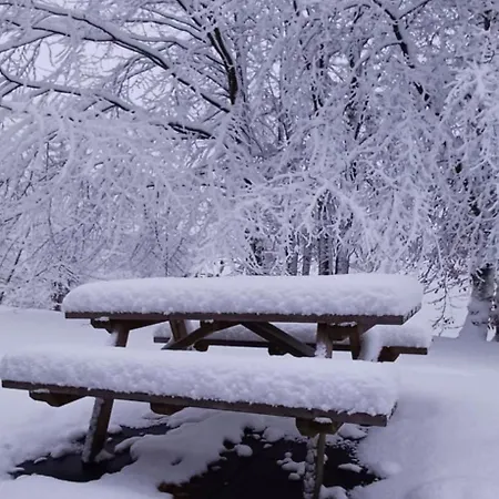 L'ecureuil - Terrasses De