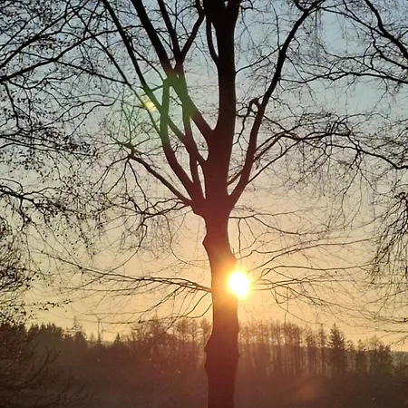 L'ecureuil - Terrasses De Casa de Férias *